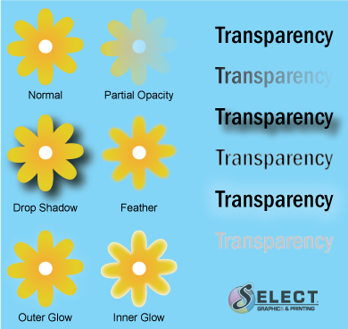 transparency issues on screen may not print correctly