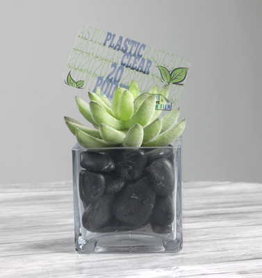 Plastic Business Cards 