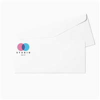 #10 Regular Envelopes