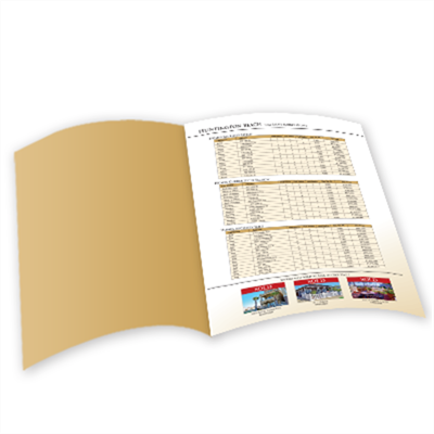 Newsletters (Small Quantity)