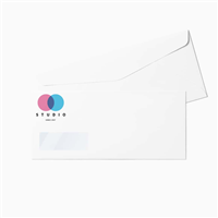 #10 Window Envelope